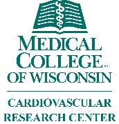 Cardiovascular Research Center at the Medical College of Wisconsin Logo